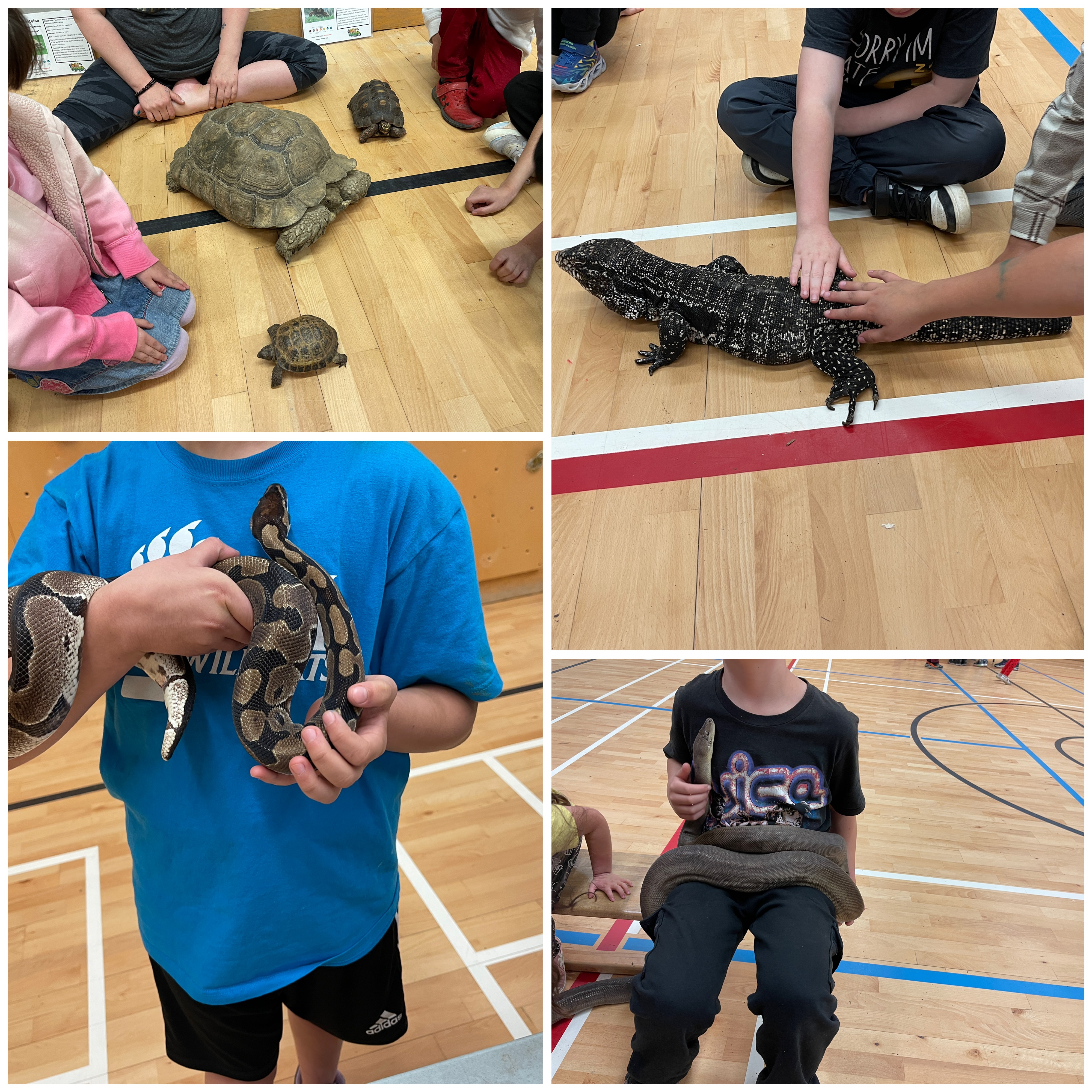Reptile Guy Visits École Mission Central